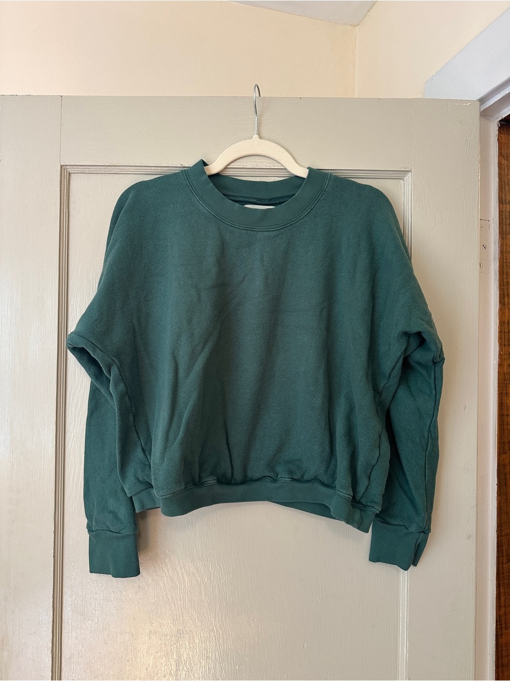 Aliya Wanek Ami Sweatshirt
